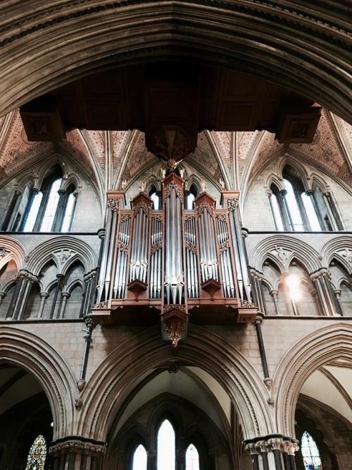 skippingismagnificent: y’kno what are absolutely gorgeous? cathedrals. especially worcester cathedra