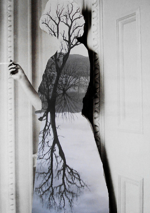 asylum-art-2:  Beautiful Photo collage by the famous Loui JoverSaatchi Art,  Facebook, on Tumblr