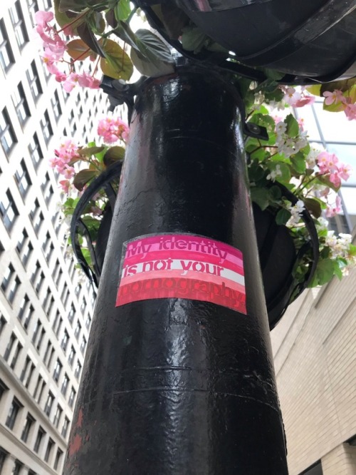 radicalgraff: Some beautiful rad queer stickers seen in June 2019 via: @snek-snek 