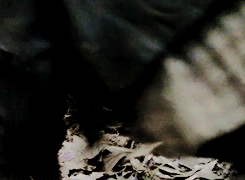 c-sand:  “No man is good enough for your little girl …until one is.” -Hershel Greene 