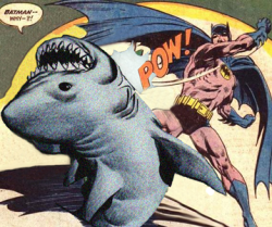 midtowncomics:  deathstarwaltz:    Looks like Batman isn’t the biggest fan of Shark Week! 