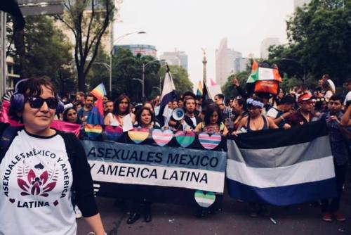 actasex:“El activismo de Asexuales México y América Latina es sin fines de lucro. El equipo sabe que