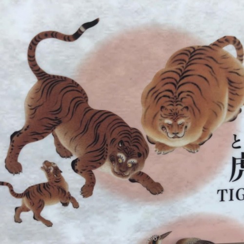 davidfirth:Fat tiger(at 名古屋城（Nagoya Castle）)