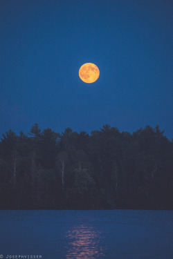 josephvisserphotography:  Last night was perfect. Lake of the woods, Ontario, Canada.  Pre order my first photo book out August 28th (shipping worldwide) HERE Website / Instagram(I follow back!) / Facebook