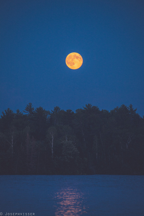 josephvisserphotography: Last night was perfect. Lake of the woods, Ontario, Canada.  Pre 