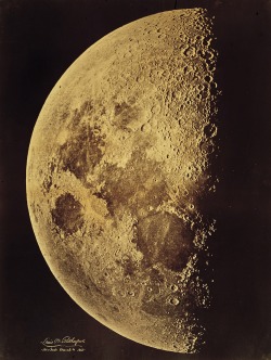 magictransistor:  Lewis Morris Rutherfurd, Moon (Albumen print), March 4th, 1865.