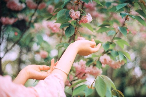 Porn photo peonypavillion: She slipped through your