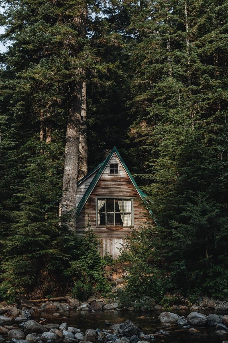 alecsgrg: Cabin life | ( by Mio Monasch ) 