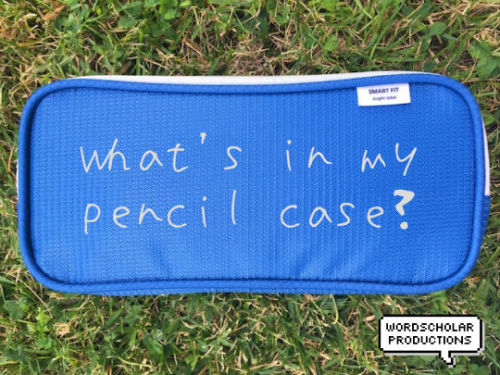 My pencil case is a large Lihit Lab Smart Fit Double Pen Case in blue. The white pouch is narrow but