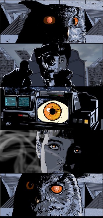 thewindowofthesummerhouse:    NexusRoku   