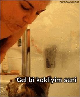 ironmaninjarvisi:  paradoksadam:  ParadoksAdam Best Part 3 (Part2) (Part1)  3. Gife