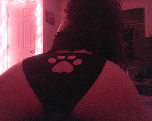 shugarhime:  💝 more cute kitty pics to come soon! 💝