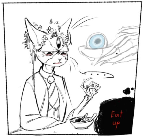 Feed Your Cats The Right Food