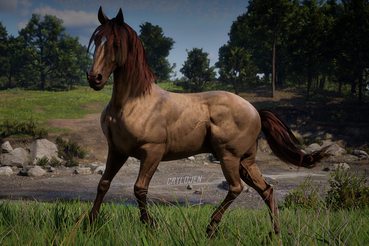 Horses Belonging To Online Story Characters