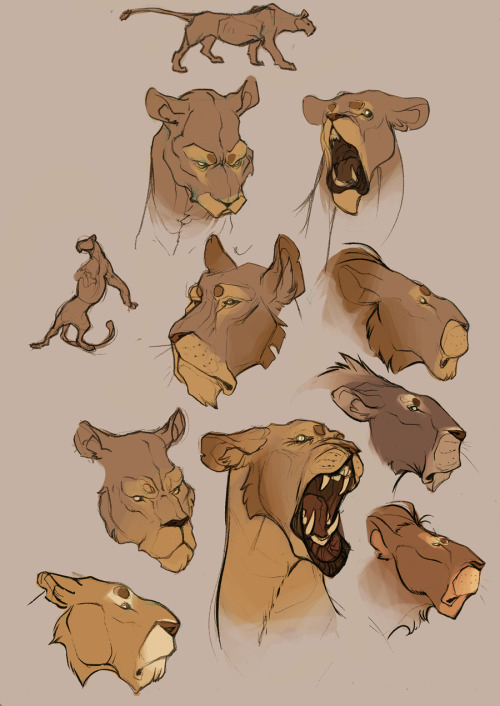 theartofanimation:  CoconutMilkyway  -  http://coconutmilkyway.tumblr.com  -  https://twitter.com/coconutmilkyway  -  http://www.furaffinity.net/user/coconutmilkyway 