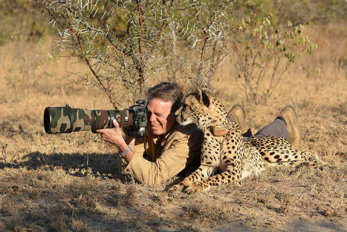 awesome-picz: Reasons Why Being A Nature Photographer Is The Best Job In The World.