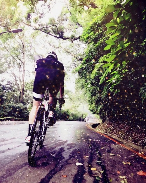 idgandy: Ride #bike #bikeporn #bicycle #velo #cycle #cycling #fixie #fixed #fixedgear #pista #pursui