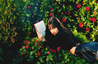 tumblr photo wind1945 20