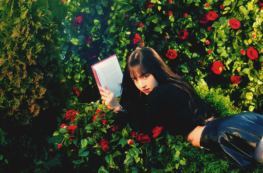 tumblr photo wind1945 22