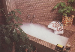 palmandlaser: From Rodale’s Home Design Series: Baths (1987)