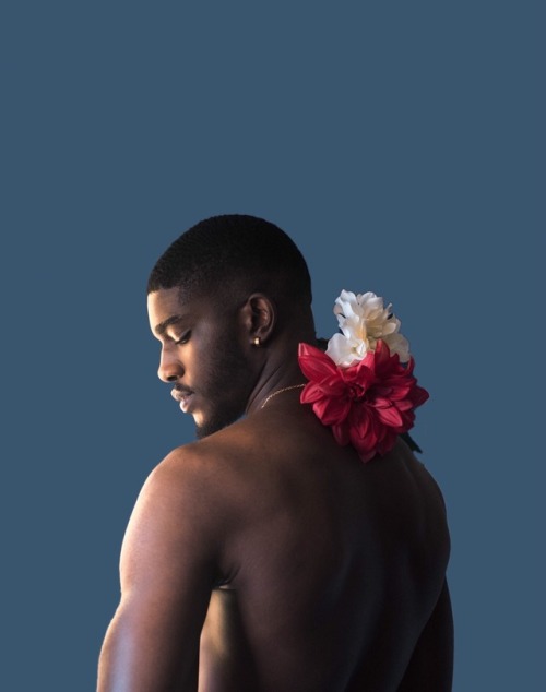 nova-rose-greene - Nova Rose