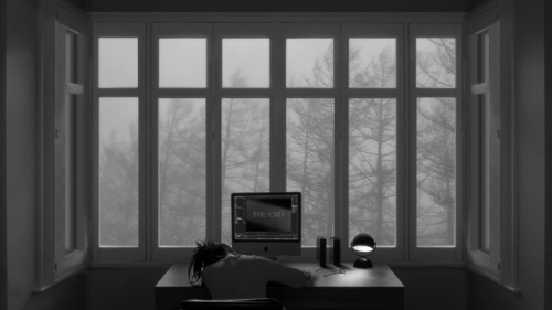 sesiondemadrugada:  24 Frames (Abbas Kiarostami, 2017).