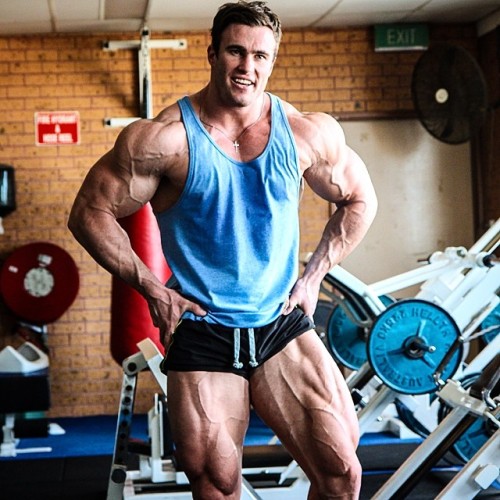 MuscleGrill