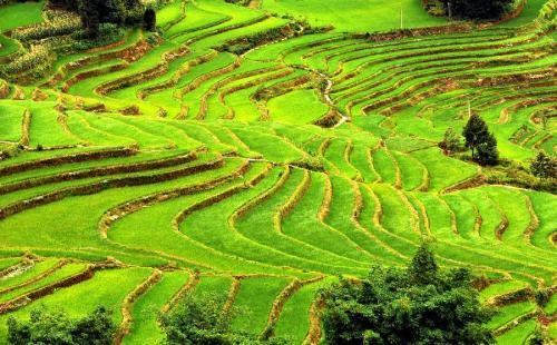 These photos are of rice terraces in Yuanyang, about 300km south of Kumming in the province of Yunna