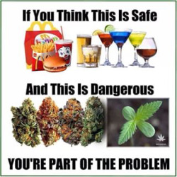 thatsgoodweed:  Don’t be part of the problem