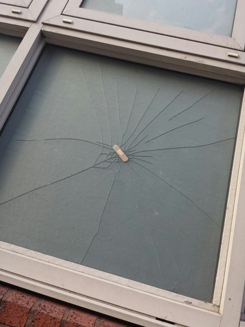 cookienun:me trying to fix my life