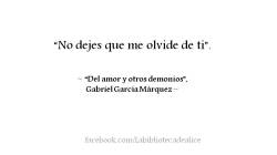 thetranslationabbey:  http://thetranslationabbey.tumblr.com/ &ldquo;Del amor y otros demonios&rdquo;, García Márquez  ¡¡Más aquí!!