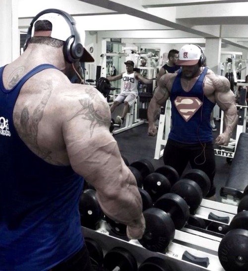 Muscle Motivation
