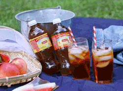 bemoretea:  It is like A/C for your picnic. Head over to LiptonSUNday.com for a chance to win an #ExtraSUNday! Credit: Sam Cannon