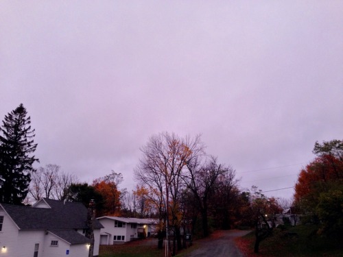 grrrlcat:My campus is pretty