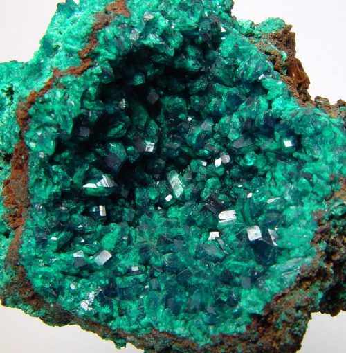 bijoux-et-mineraux:  Dioptase - Mbumba, Pimbi Hill, Mindouli, Pool Region, Congo  