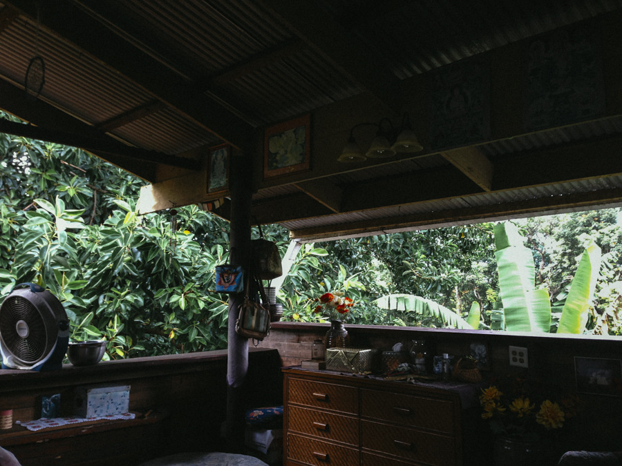 gypsyone:  Fresh Air 