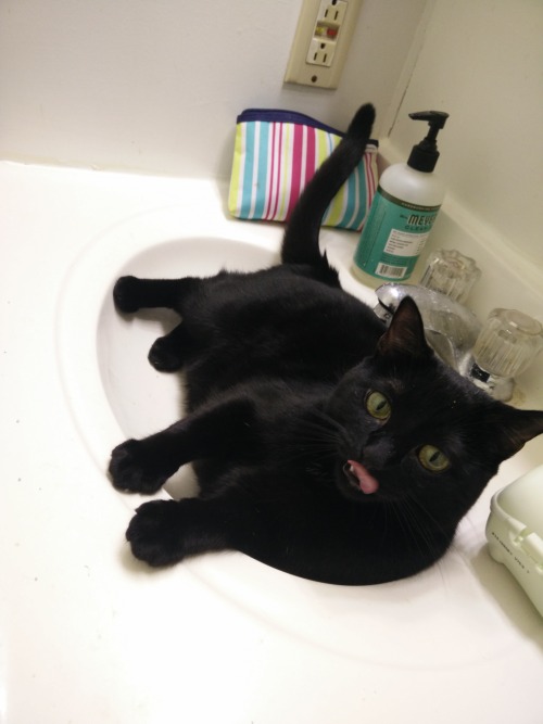 catsbeaversandducks:You Can’t Brush Your Teeth Because:(    ) you have no toothpaste(    ) you have 