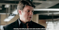 Cherylversini:  Castle, The Show: A Summary  