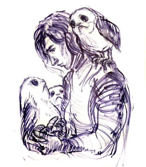 jesterry: this is what drawing porgs sans references does to an unfinished inktober piece of Kylo’s 