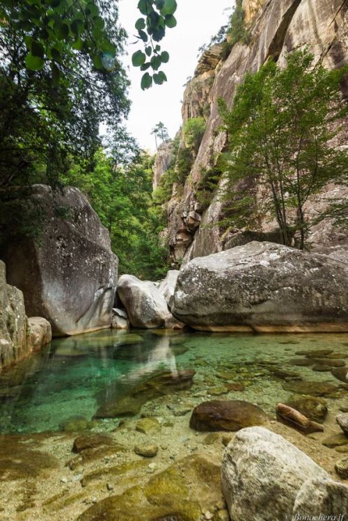 visitheworld:Purcaraccia stream, Corsica / France (by jean françois bonachera).