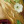 notthehorse:  if you touch the shiny side of my cd i will personally escort you to