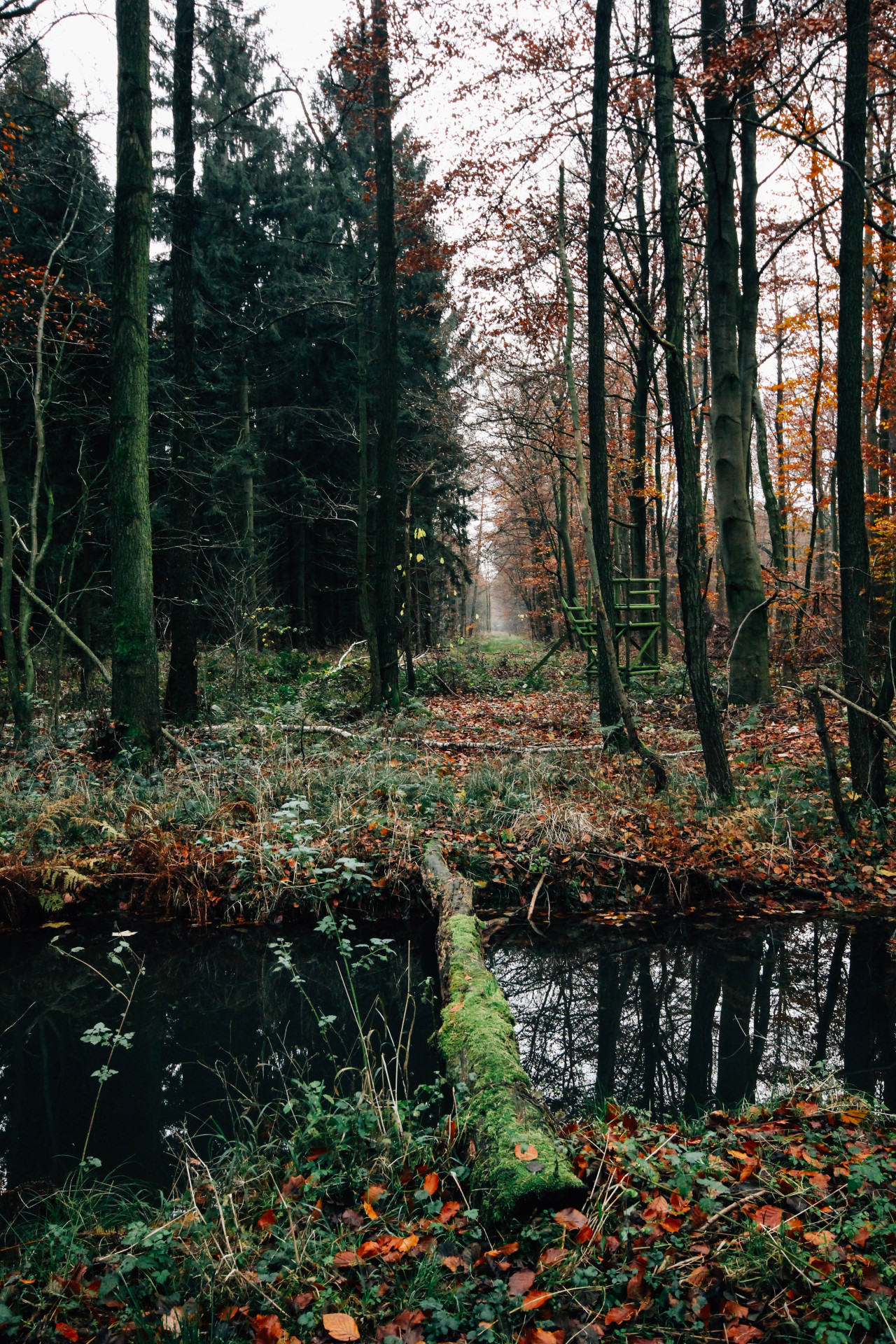 olli-dressler:  Photographer