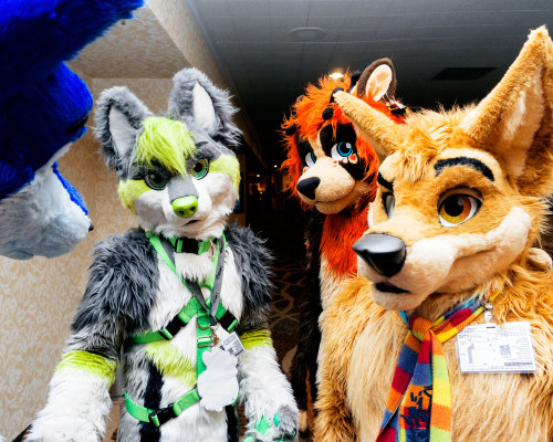 My dispatch from Biggest Little Fur Con 2015 in Reno Nevada, from my column Pupdates on VICE.