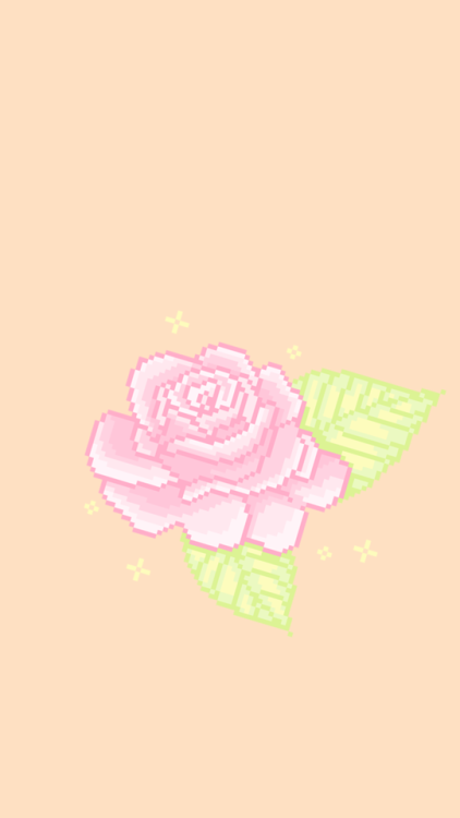 pink rose aesthetic part 2 of my color series :)