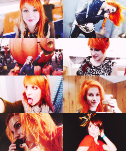  hayley + orange 