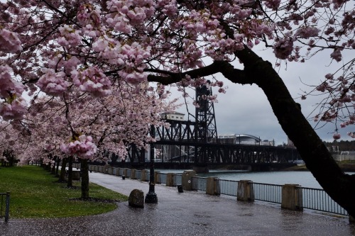 Portland Oregon