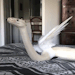the-reckless-ronin:sunshinestims:🐍🐍🐍🐍A fearsome beast, to be sure!