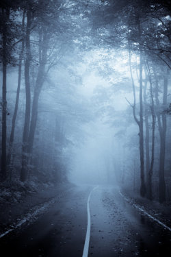 opticallyaroused:  Ghost Road