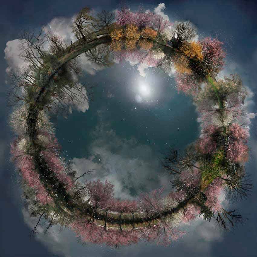 therhumboogie:  By Catherine Nelson, I find myself mesmerised by these astounding,