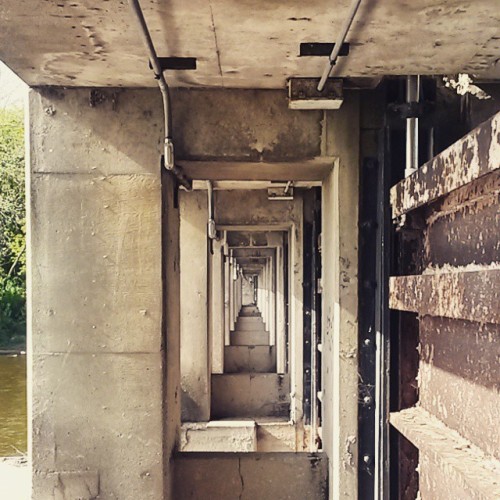 Perpetuation of a theme. #urbex #mke #urbandecay